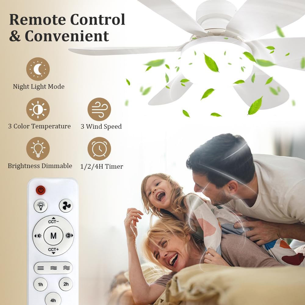 리모컨이 있는 소켓 팬 조명, LED가 있는 소형 천장 - Home Decor Lighting 리뷰 및 가격